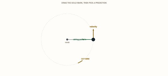Topic 2.10, Circular Motion. A ball on a string, going round at a steady speed.
